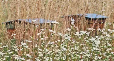 En mars, défendons la biodiversité jusque dans notre assiette En mars, défendons la biodiversité jusque dans notre assiette